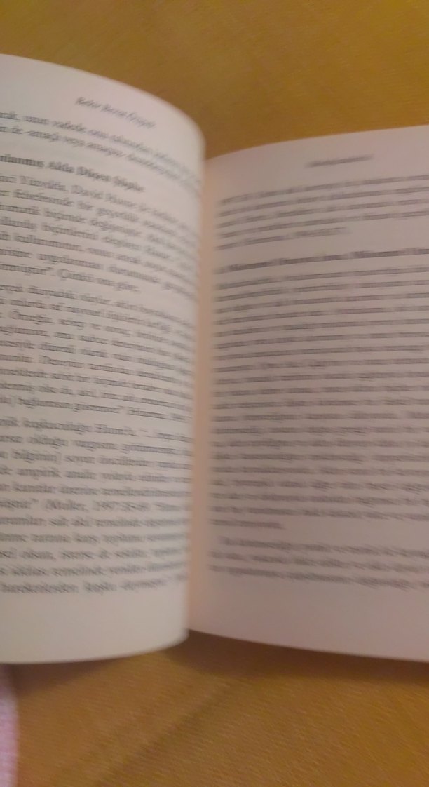 Muhafazakârlık - Akıl Toplum Siyaset Kitabı - Görsel 4