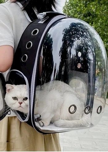 kedi ve köpek Taşıma Çantası
