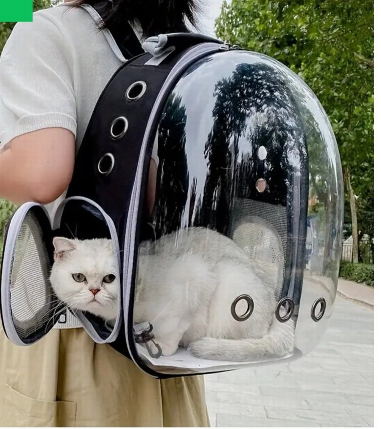 kedi  ve köpek Taşıma Çantası - Görsel 2