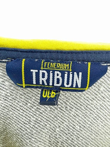 universal Beden gri Renk Fenerium Sweatshirt %70 İndirimli.