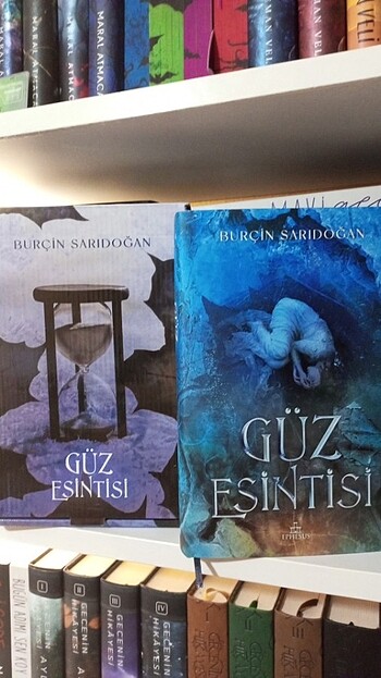 Güz Esintisi - Burçin Sarıdoğan