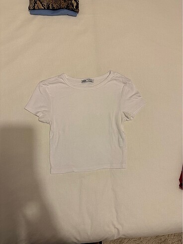 zara crop