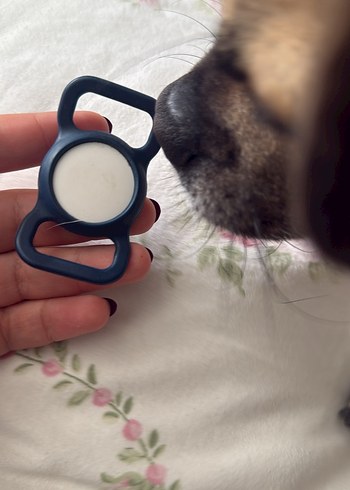 Airtag ve lacivert tasma tutucu - Görsel 5