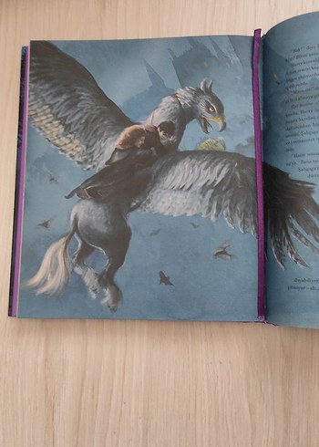 Harry Potter - Azkaban Tutsağı (Resimli) - Görsel 4