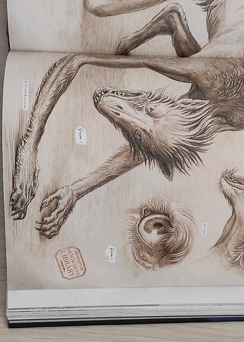 Harry Potter - Azkaban Tutsağı (Resimli) - Görsel 5