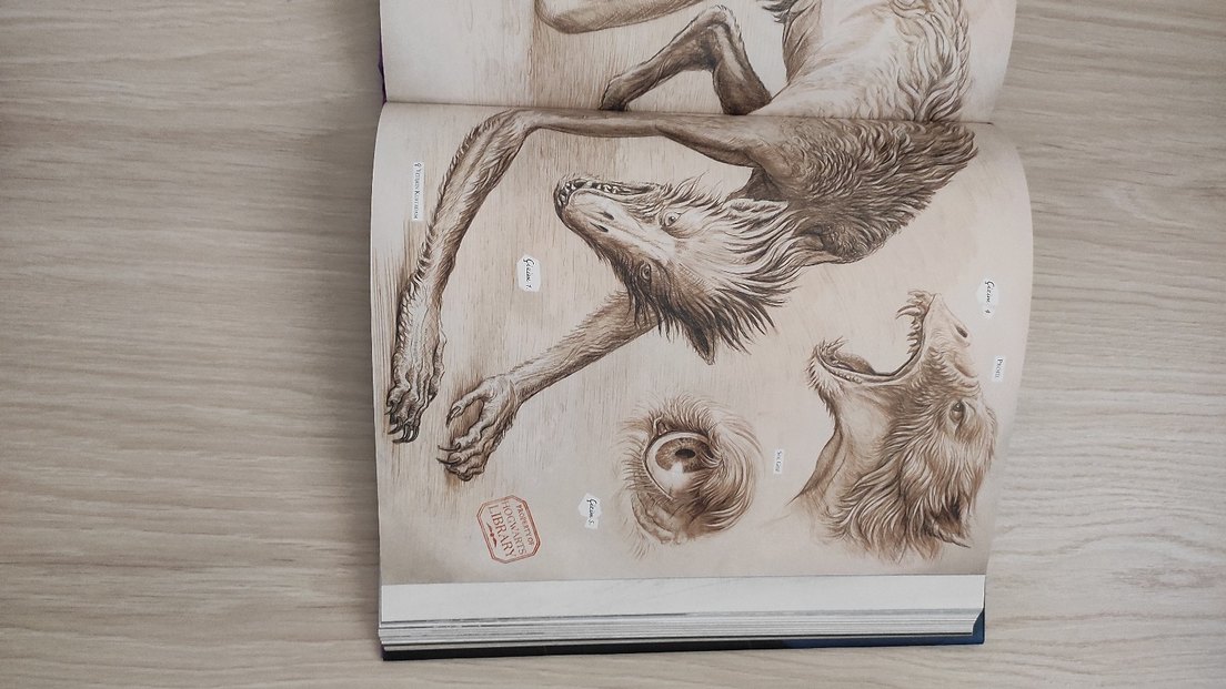 Harry Potter - Azkaban Tutsağı (Resimli) - Görsel 5