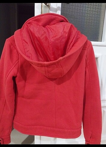 Kısa kaban  - Görsel 2