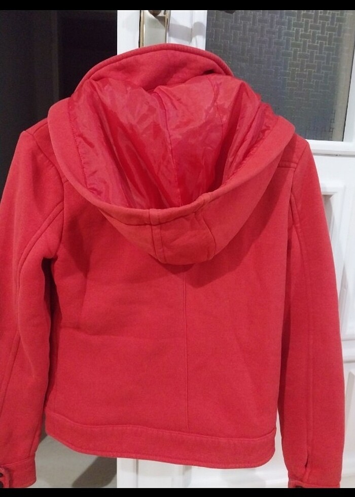 Kısa kaban  - Görsel 2