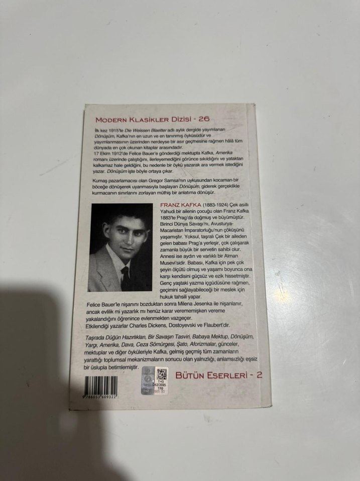 Franz Kafka - Dönüşüm - Görsel 2