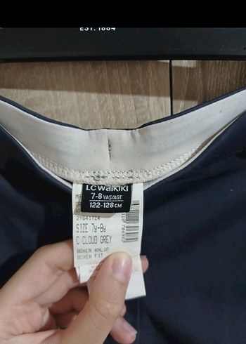 Mavi Baskılı Erkek Çocuk Mayo Şortu - Görsel 2