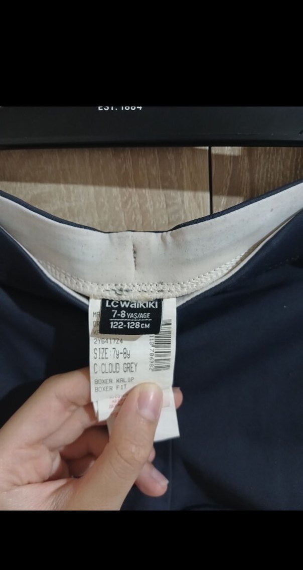 Mavi Baskılı Erkek Çocuk Mayo Şortu - Görsel 2