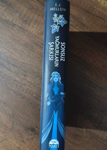 Sonsuz Yağmurların Şarkısı - E.J. Mellow - Görsel 3