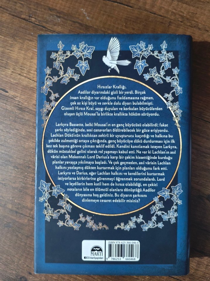 Sonsuz Yağmurların Şarkısı - E.J. Mellow - Görsel 2