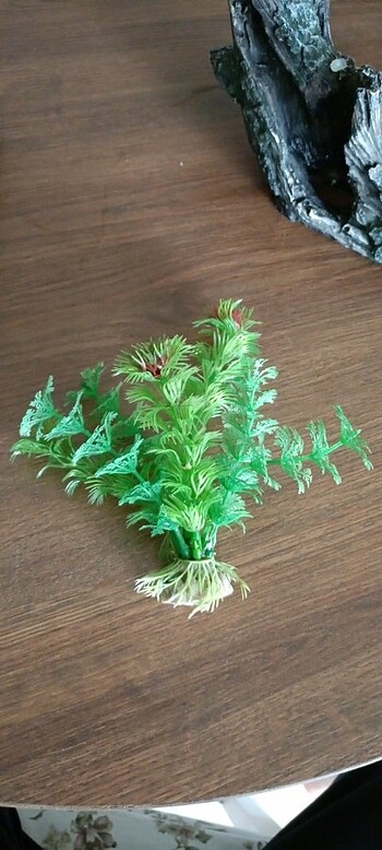 Akvaryum dekor - Görsel 5