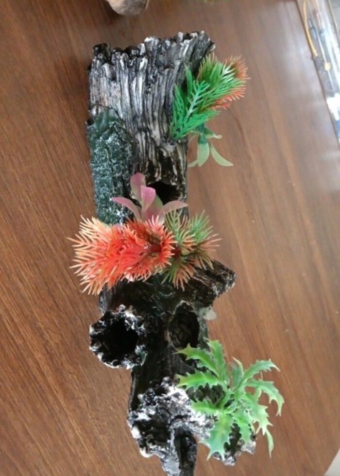 Akvaryum dekor - Görsel 2