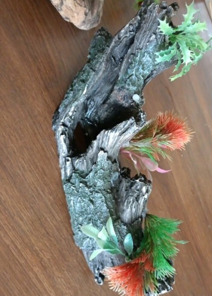 Akvaryum dekor - Görsel 3