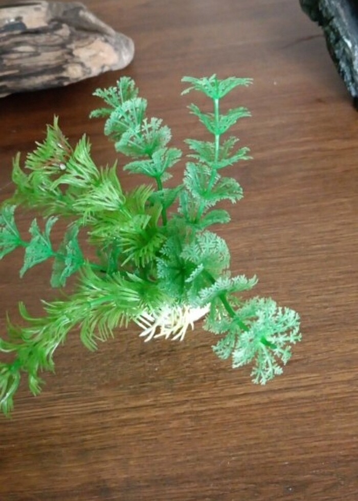 Akvaryum dekor - Görsel 4