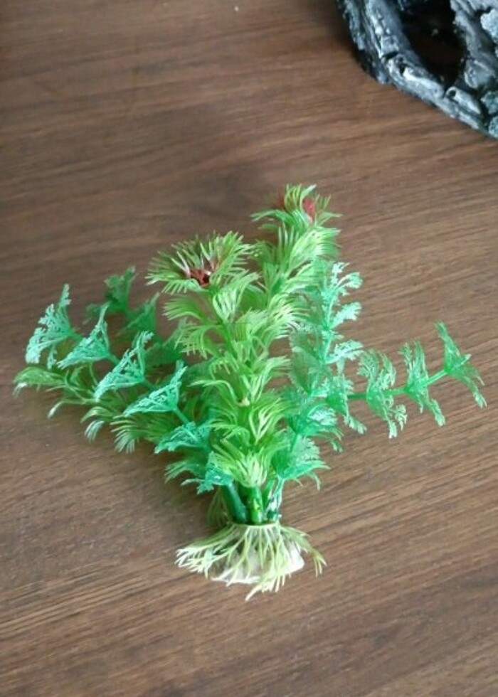 Akvaryum dekor - Görsel 5