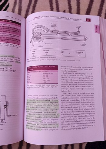 Pediatri Hemşireliği - 2. Baskı
