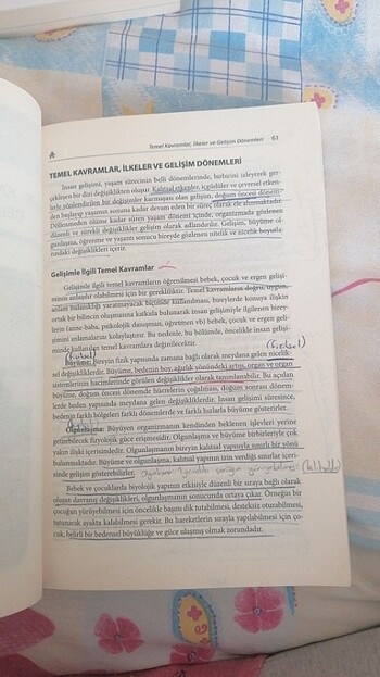 Beden Gelişim Psikolojisi