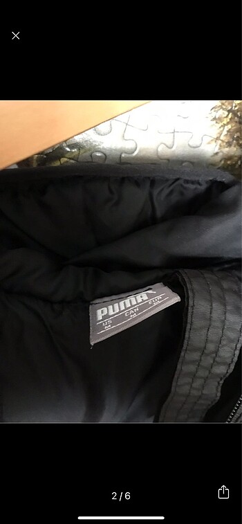 Puma Puma mont