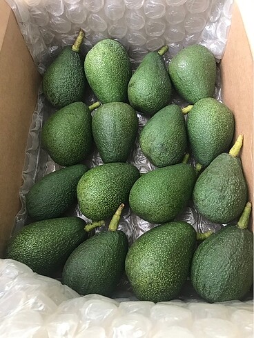 Avokado Limon