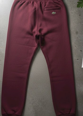 Lacoste Erkek Eşofman Altı - Görsel 2