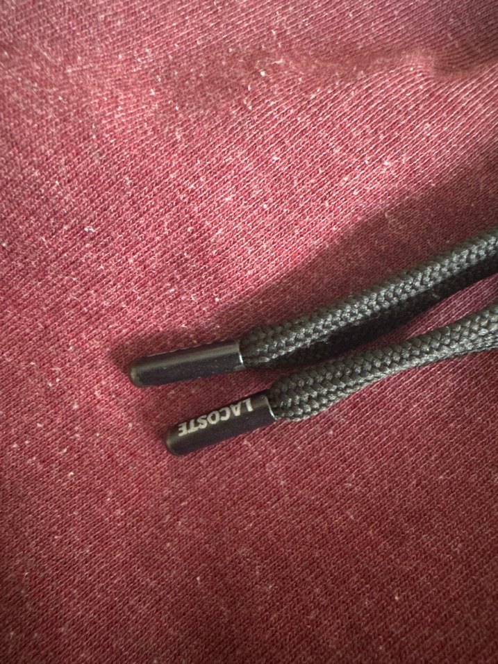 Lacoste Erkek Eşofman Altı - Görsel 3