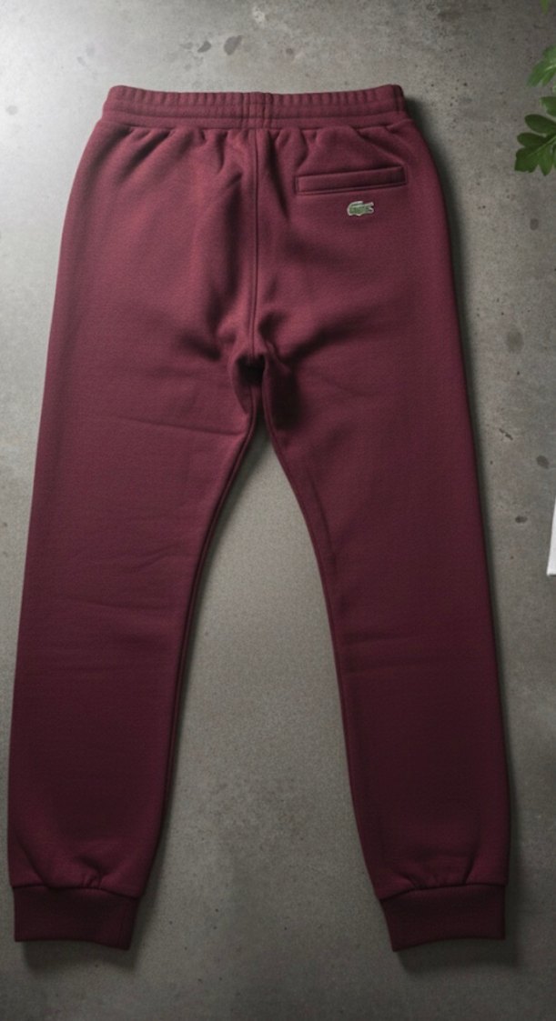 Lacoste Erkek Eşofman Altı - Görsel 2