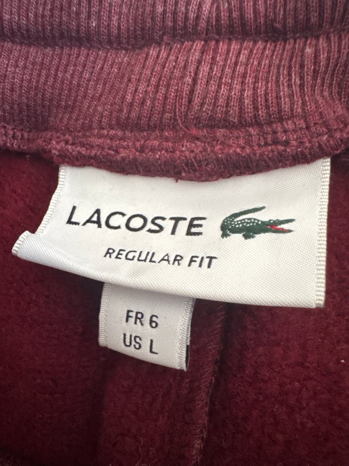 Lacoste Erkek Eşofman Altı - Görsel 4