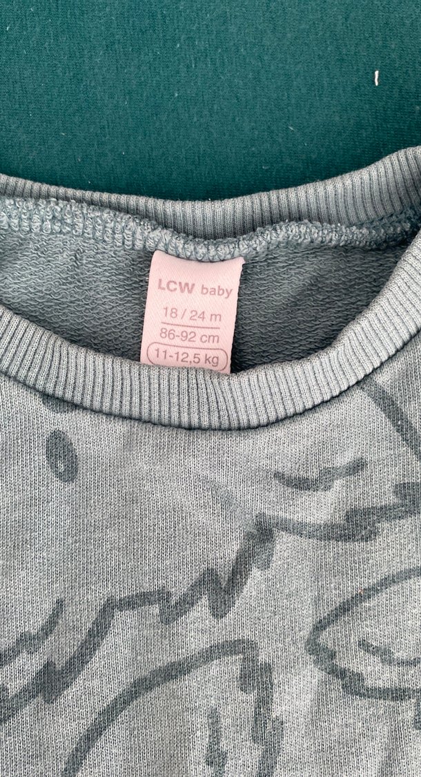 Gri Baskılı Erkek Çocuk Sweatshirt - Görsel 2