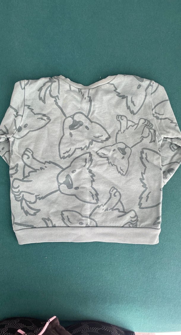 Gri Baskılı Erkek Çocuk Sweatshirt - Görsel 3