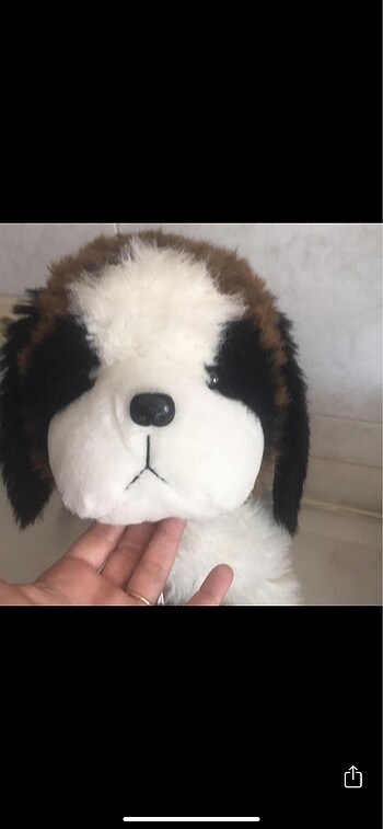  Beden Toys rus saint bernard peluş oyuncak