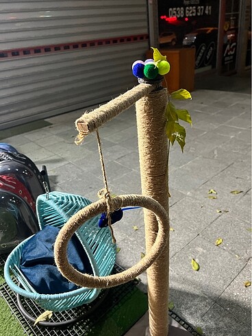 Kedi Tırmalama
