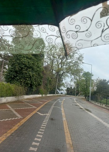 Vintage Klasik Yeşil Kadın Şemsiye - Görsel 4