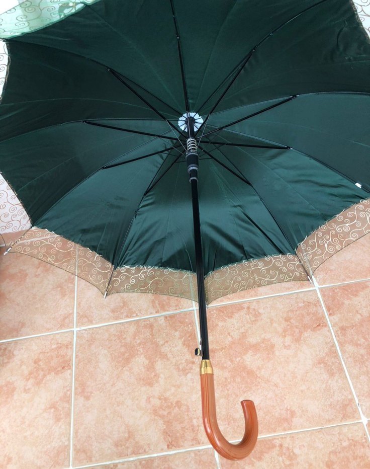 Vintage Klasik Yeşil Kadın Şemsiye - Görsel 3