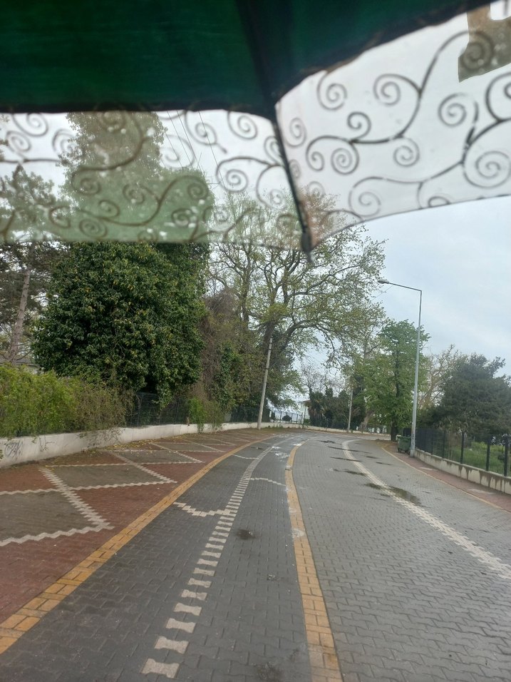 Vintage Klasik Yeşil Kadın Şemsiye - Görsel 4