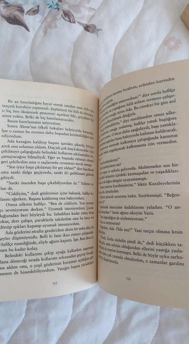 Kül Kelebek - Beyza Aksoy - Görsel 3