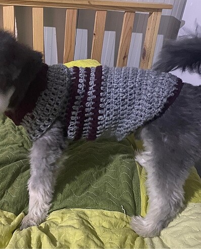  Beden Örgü Köpek Kıyafeti