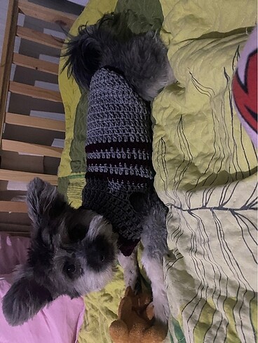  Beden Renk Örgü Köpek Kıyafeti