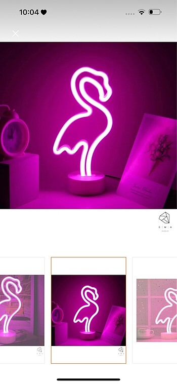 Işıklı flamingo
