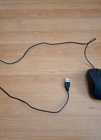 Diğer Everest Mouse