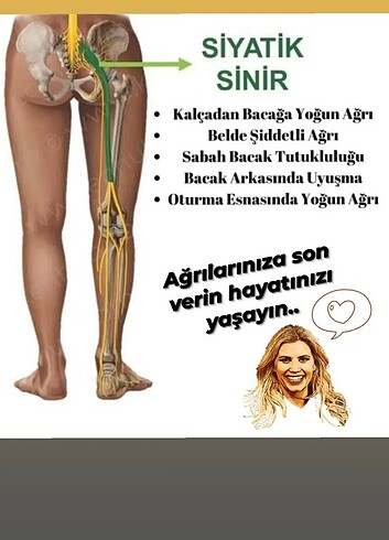 Welltures Global 