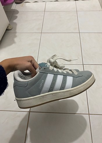 Adidas Turkuaz campus