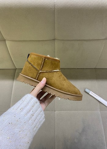 Ugg 31