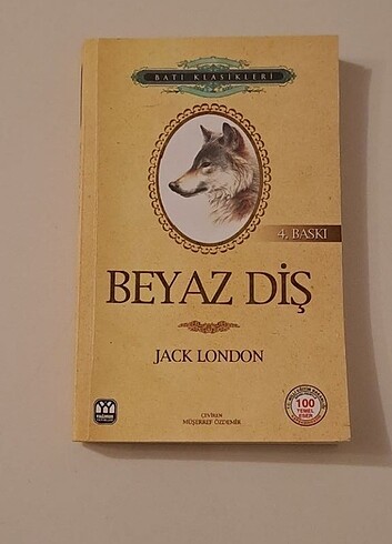 Kitap