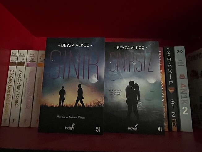 BEYZA ALKOÇ sınır & sınırsız iki kitap