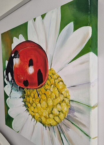 Orjinal yağlı boya papatya uğur böceği tablo