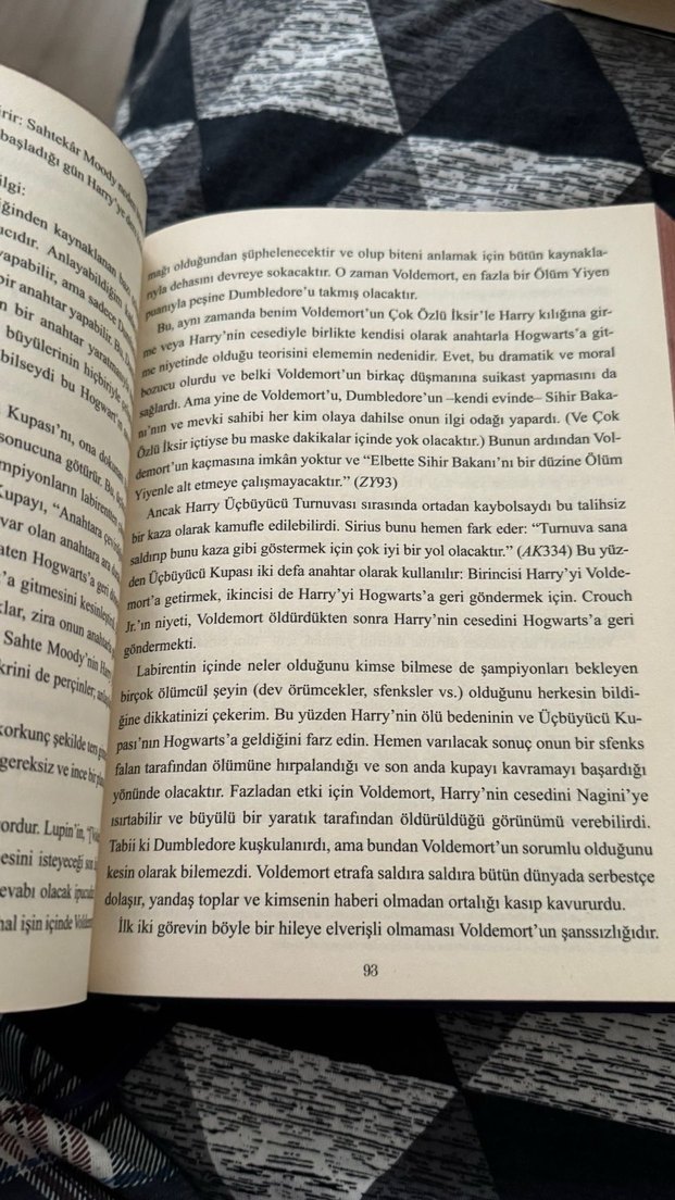 Dumbledore: Hogwarts'ın Müdürünün Hayatı ve Yalanları - Görsel 2