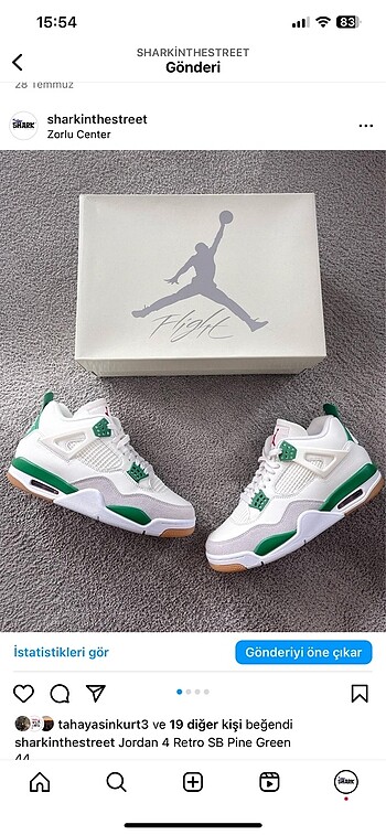 Jordan 4 SB pine green